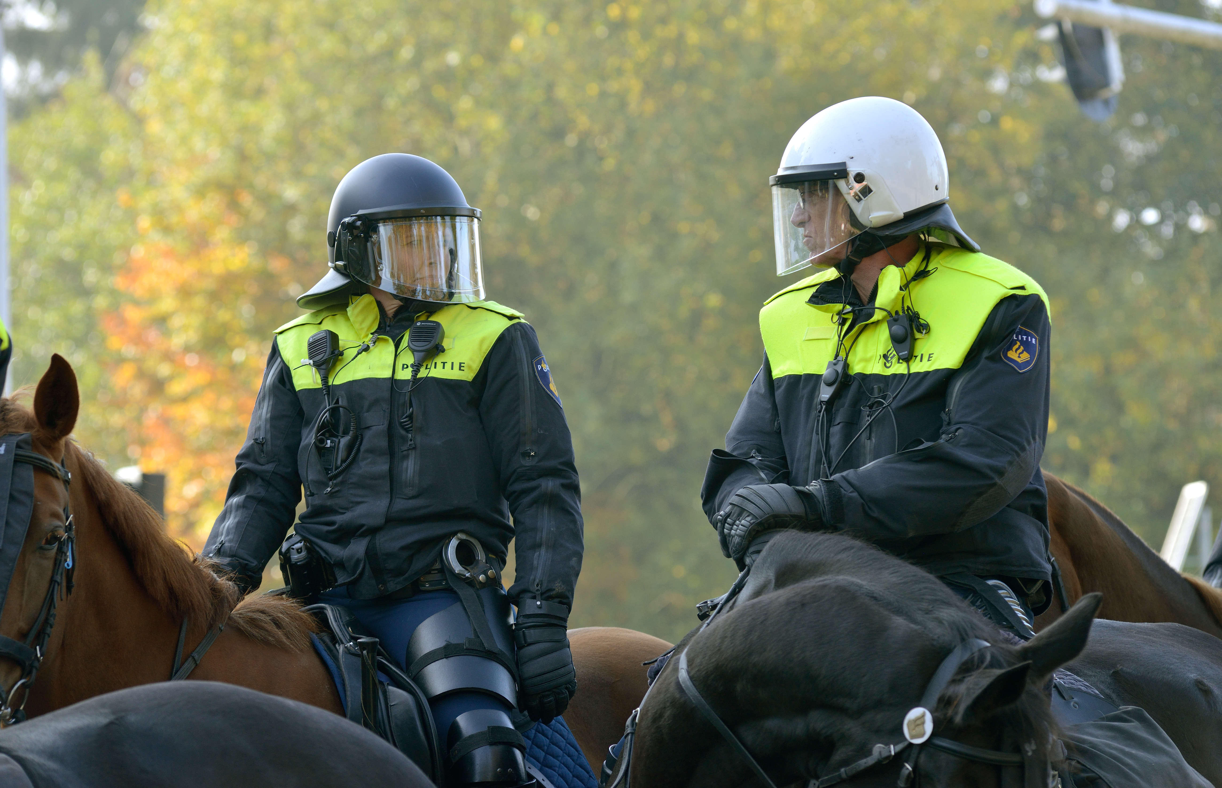 ww-lco2-police on horse