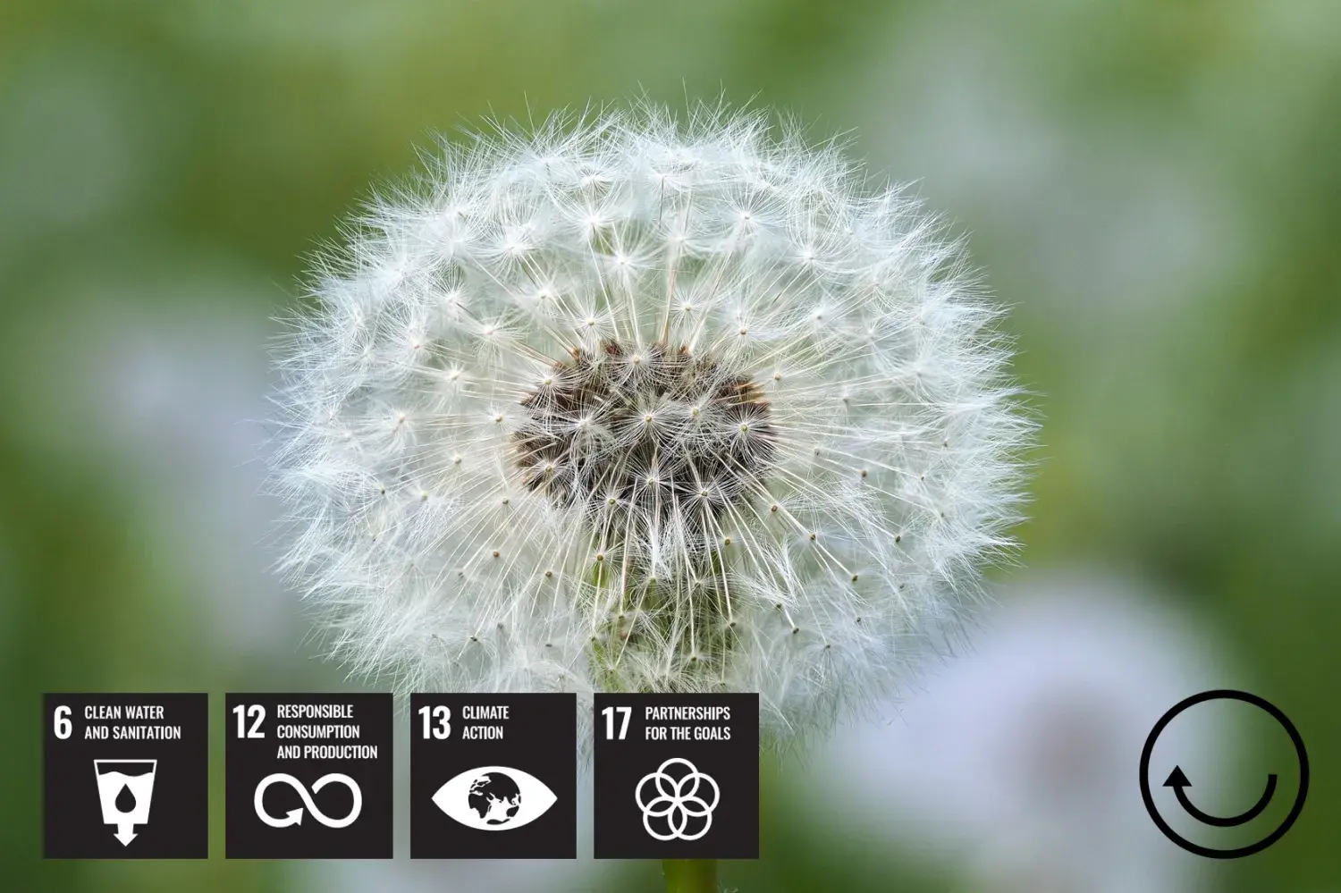 Think Circular image with UN SDG icons
