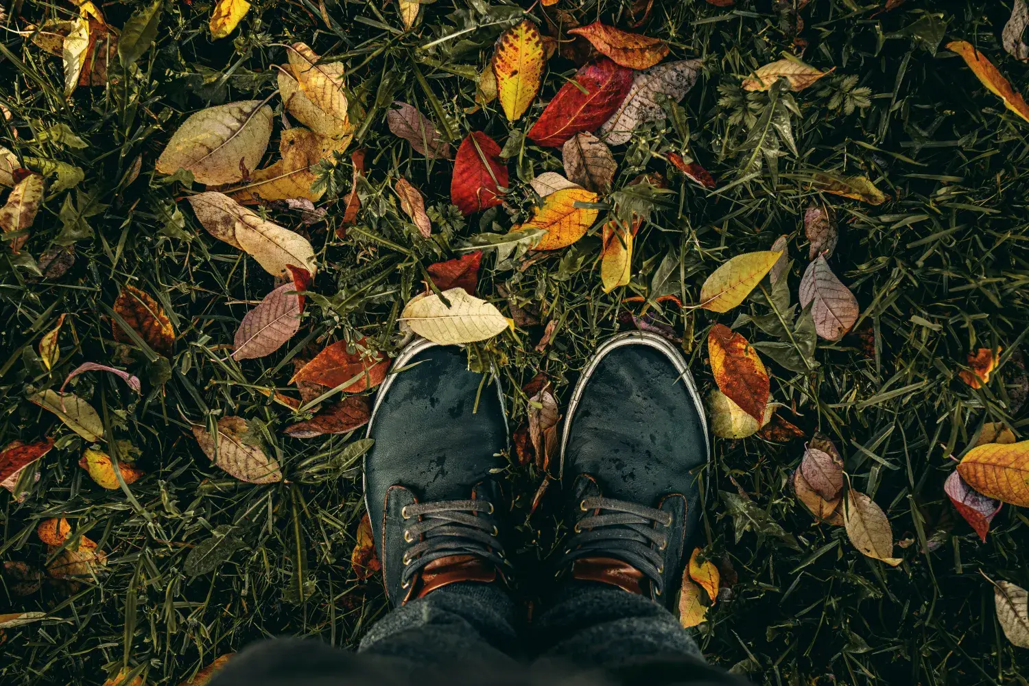 Podlahové rohože pre jesennú a zimnú sezónu