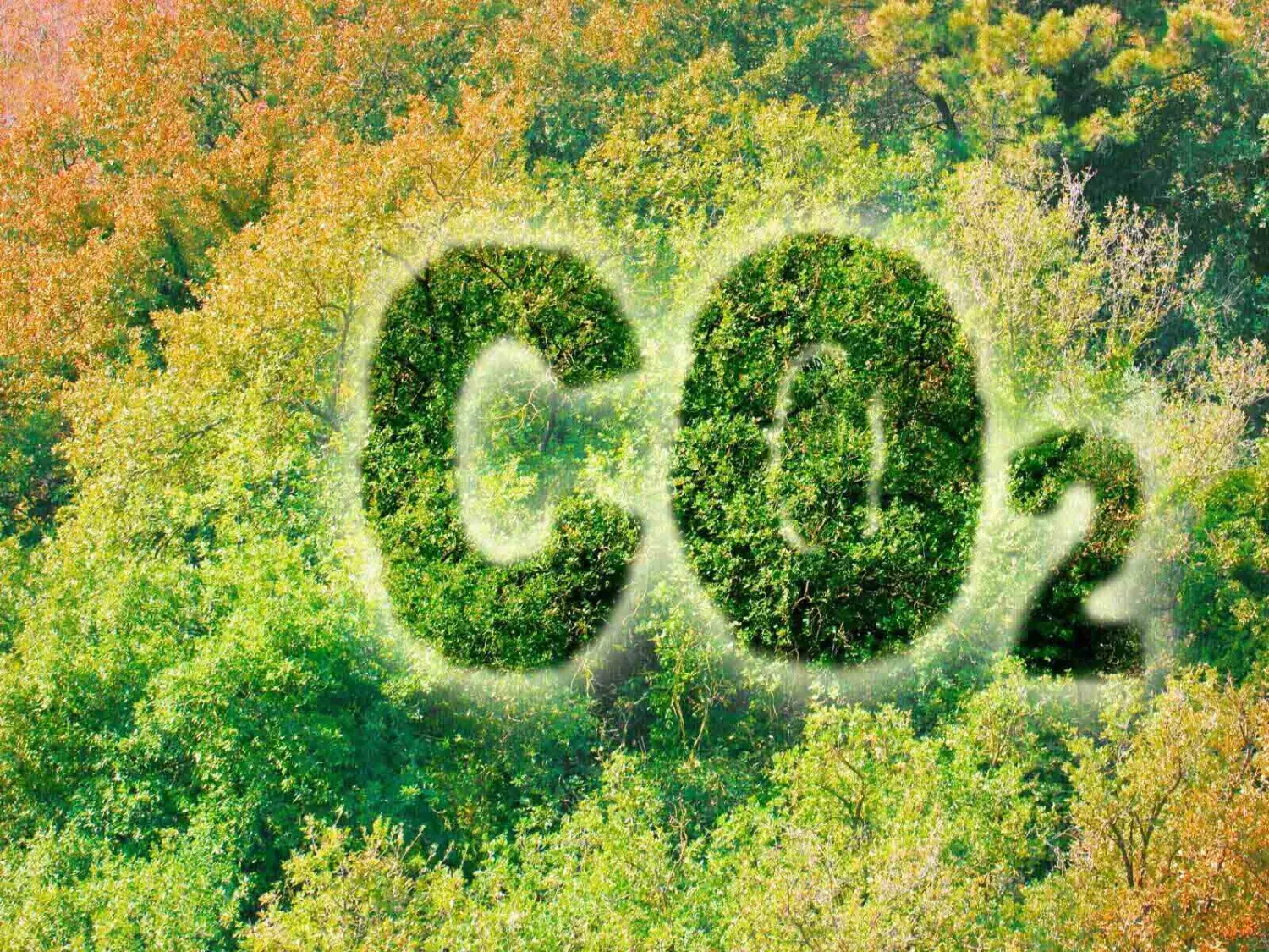 CO2 Prestatieladder Niveau 5 behaald door CWS