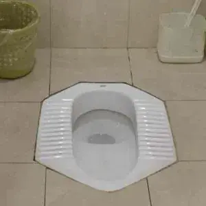 French Squat Toilet