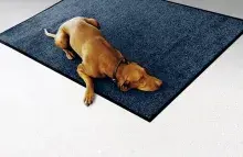 Hond liggend op een standaard mat