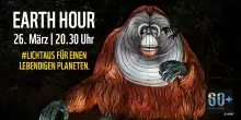 Earth Hour 2022, Figur von einem Orang-Utan