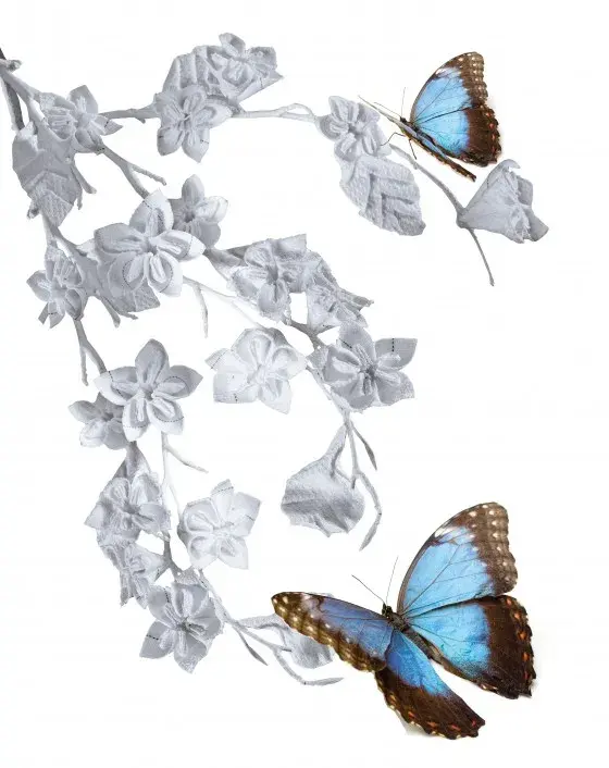 Schmetterling mit Kirschblüte