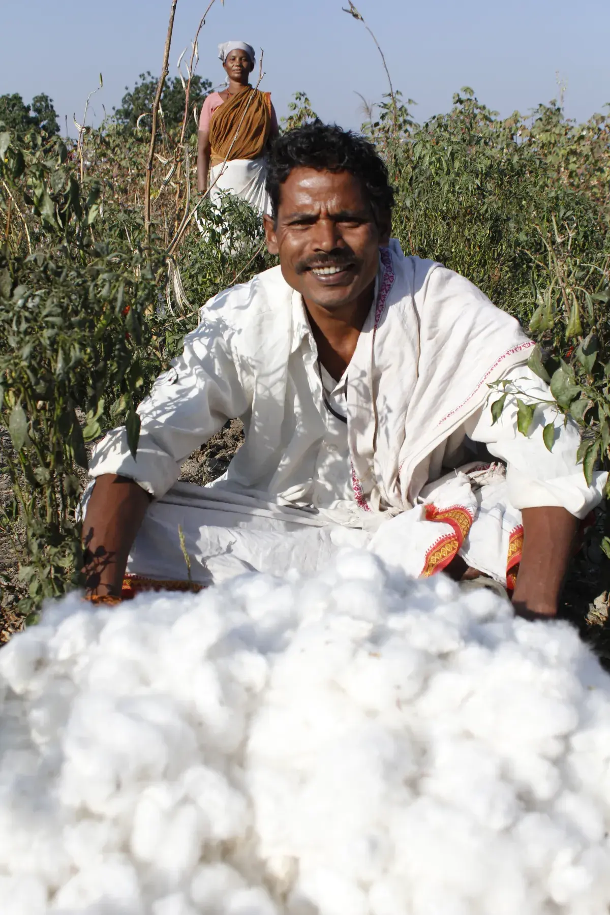 Cotton fairtrade