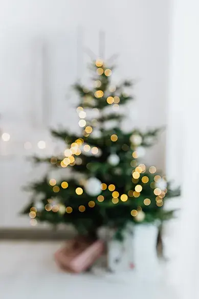 CWS-FS-Christmas-Tree-pexels-karolina-grabowska-5469814