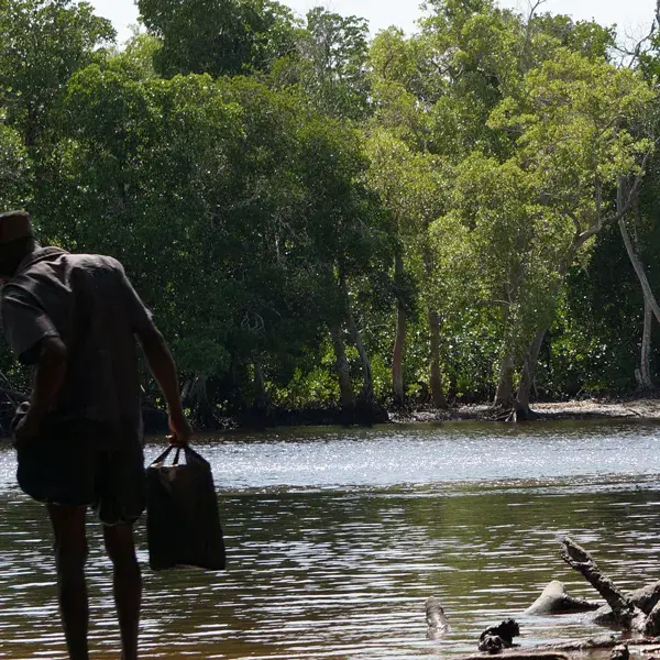 Man som vadar i vatten i södra Kenya i en mangroveodling