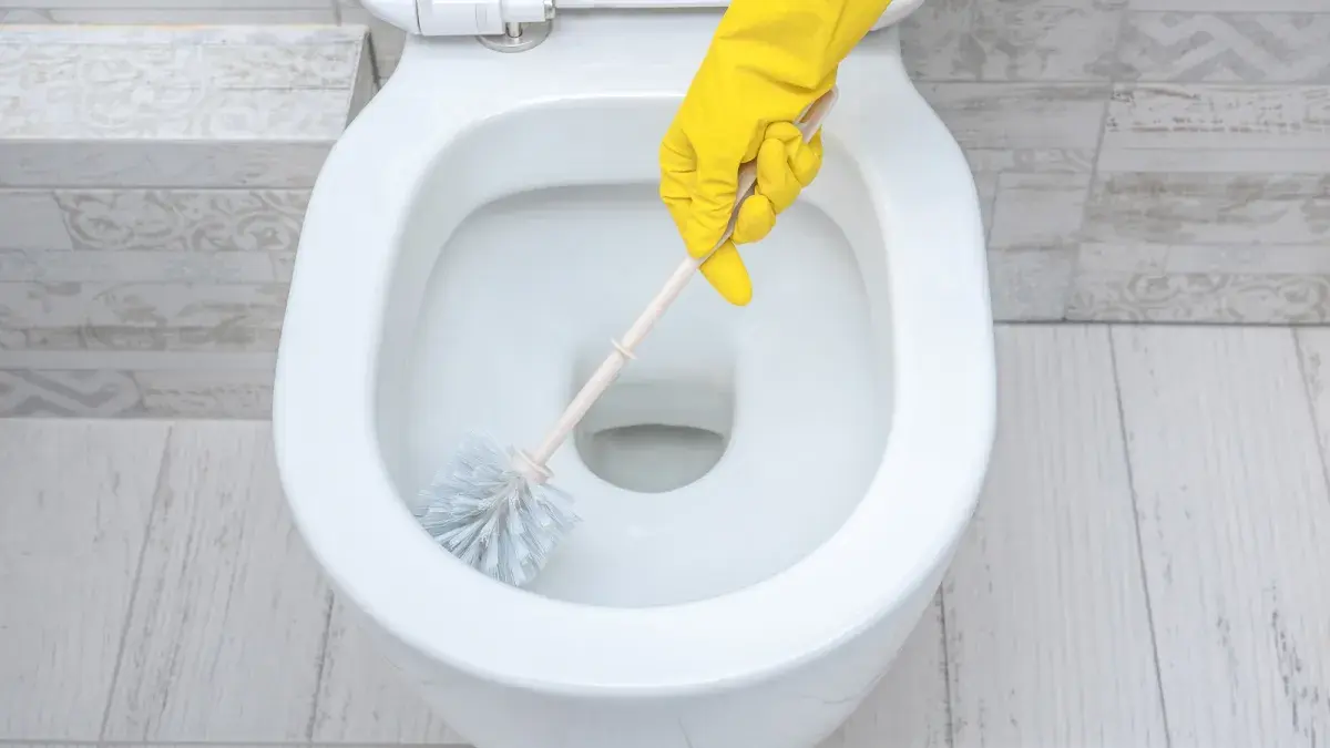 Regular and focused cleaning of sanitary spaces