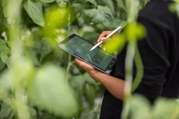A person holding a tablet, surrounded by plants