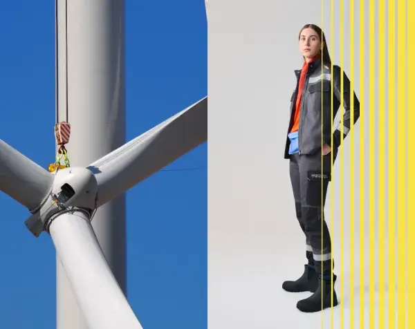 Collage Hidden Features Energy