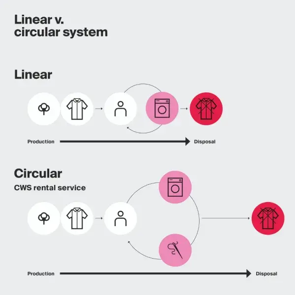 Linear v. circular system